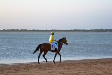 at yarışı sanlucar barrameda, İspanya, Ağustos 2011 tarihinde