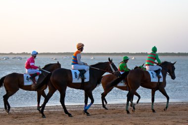 at yarışı sanlucar barrameda, İspanya, Ağustos 2011 tarihinde