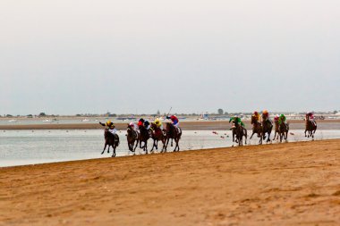 at yarışı sanlucar barrameda, İspanya, Ağustos 2011 tarihinde