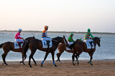 at yarışı sanlucar barrameda, İspanya, Ağustos 2011 tarihinde