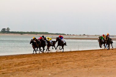 at yarışı sanlucar barrameda, İspanya, Ağustos 2011 tarihinde