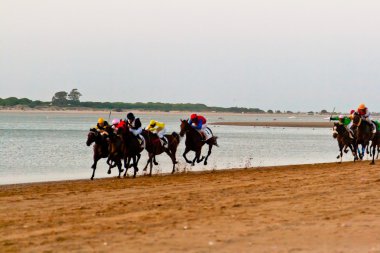 at yarışı sanlucar barrameda, İspanya, Ağustos 2011 tarihinde