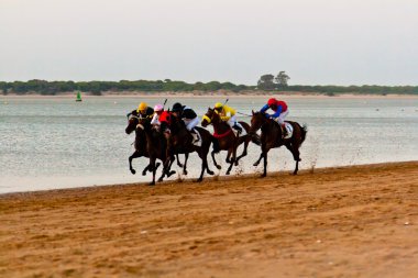 at yarışı sanlucar barrameda, İspanya, Ağustos 2011 tarihinde