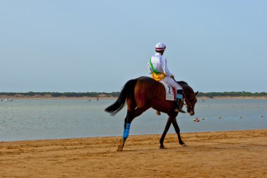 at yarışı sanlucar barrameda, İspanya, Ağustos 2011 tarihinde