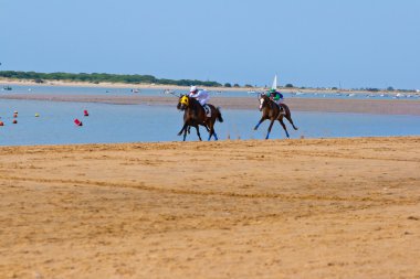 at yarışı sanlucar barrameda, İspanya, Ağustos 2011 tarihinde