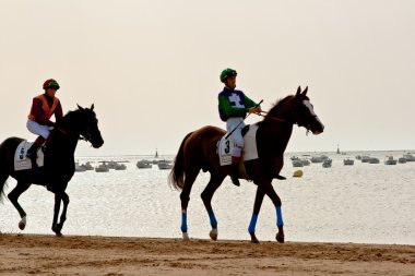 at yarışı sanlucar barrameda, İspanya, Ağustos 2011 tarihinde