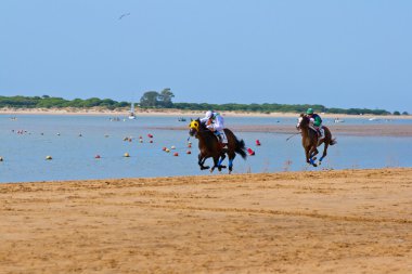 at yarışı sanlucar barrameda, İspanya, Ağustos 2011 tarihinde