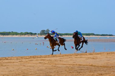 at yarışı sanlucar barrameda, İspanya, Ağustos 2011 tarihinde