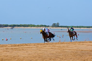 at yarışı sanlucar barrameda, İspanya, Ağustos 2011 tarihinde