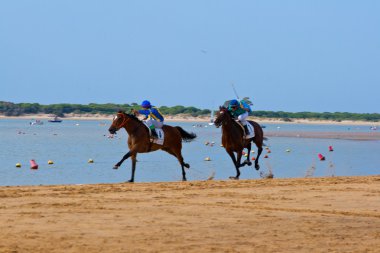 at yarışı sanlucar barrameda, İspanya, Ağustos 2011 tarihinde