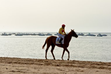 at yarışı sanlucar barrameda, İspanya, Ağustos 2011 tarihinde