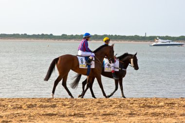 at yarışı sanlucar barrameda, İspanya, Ağustos 2011 tarihinde