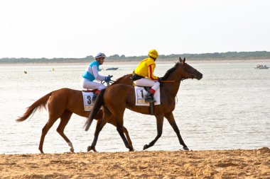 at yarışı sanlucar barrameda, İspanya, Ağustos 2011 tarihinde