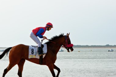 at yarışı sanlucar barrameda, İspanya, Ağustos 2011 tarihinde