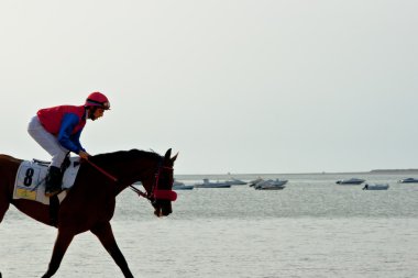 at yarışı sanlucar barrameda, İspanya, Ağustos 2011 tarihinde