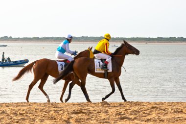 at yarışı sanlucar barrameda, İspanya, Ağustos 2011 tarihinde