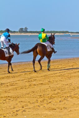 at yarışı sanlucar barrameda, İspanya, Ağustos 2011 tarihinde