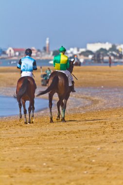 at yarışı sanlucar barrameda, İspanya, Ağustos 2011 tarihinde