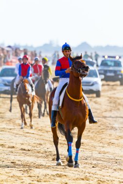 Horse race on Sanlucar of Barrameda, Spain, August 2011 clipart