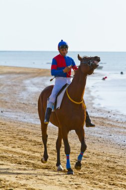 at yarışı sanlucar barrameda, İspanya, Ağustos 2011 tarihinde