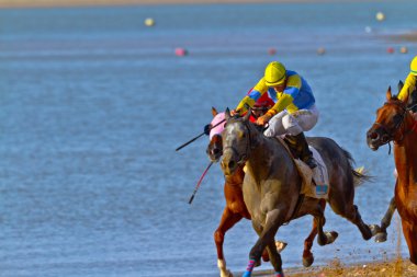 at yarışı sanlucar barrameda, İspanya, Ağustos 2011 tarihinde