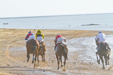 at yarışı sanlucar barrameda, İspanya, Ağustos 2011 tarihinde