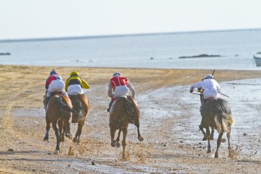 at yarışı sanlucar barrameda, İspanya, Ağustos 2011 tarihinde