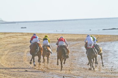 at yarışı sanlucar barrameda, İspanya, Ağustos 2011 tarihinde