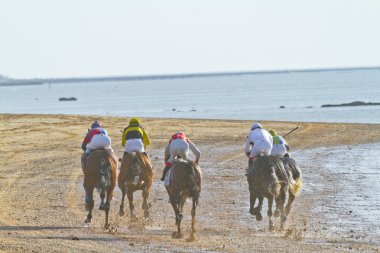at yarışı sanlucar barrameda, İspanya, Ağustos 2011 tarihinde
