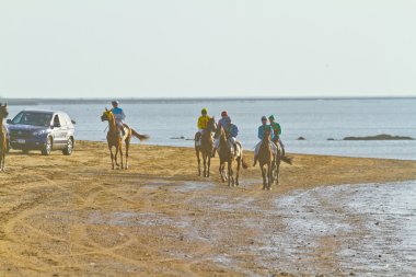 at yarışı sanlucar barrameda, İspanya, Ağustos 2011 tarihinde