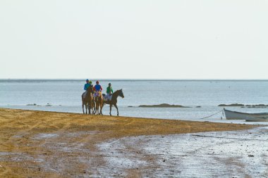 at yarışı sanlucar barrameda, İspanya, Ağustos 2011 tarihinde