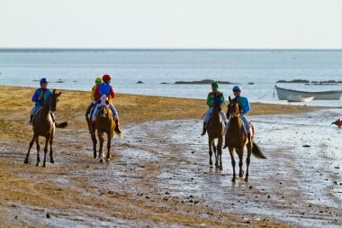 at yarışı sanlucar barrameda, İspanya, Ağustos 2011 tarihinde