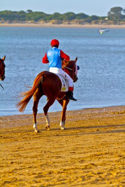 at yarışı sanlucar barrameda, İspanya, Ağustos 2011 tarihinde