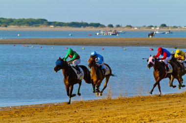 Horse race on Sanlucar of Barrameda, Spain, August 2011 clipart