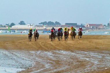 at yarışı sanlucar barrameda, İspanya, Ağustos 2011 tarihinde