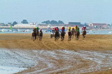 at yarışı sanlucar barrameda, İspanya, Ağustos 2011 tarihinde