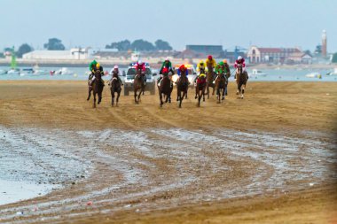 at yarışı sanlucar barrameda, İspanya, Ağustos 2011 tarihinde