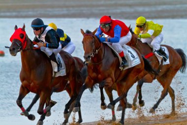 Horse race on Sanlucar of Barrameda, Spain, August 2011 clipart