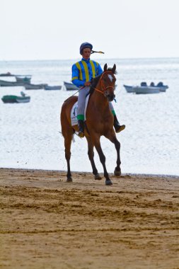 at yarışı sanlucar barrameda, İspanya, Ağustos 2011 tarihinde