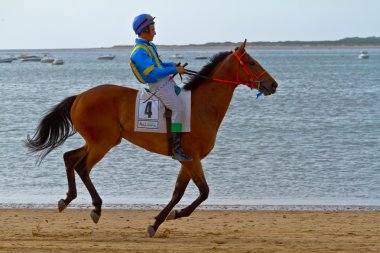 at yarışı sanlucar barrameda, İspanya, Ağustos 2011 tarihinde