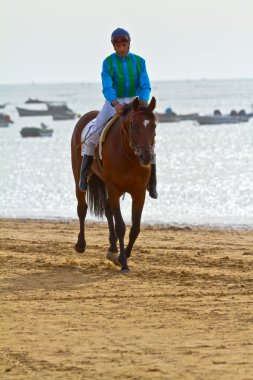 at yarışı sanlucar barrameda, İspanya, Ağustos 2011 tarihinde