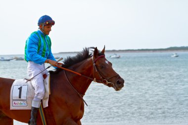 at yarışı sanlucar barrameda, İspanya, Ağustos 2011 tarihinde