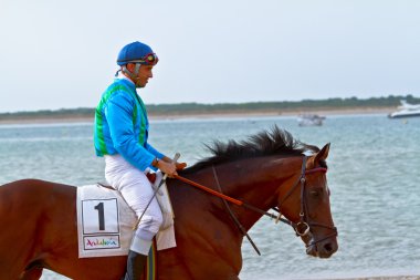 at yarışı sanlucar barrameda, İspanya, Ağustos 2011 tarihinde