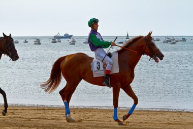 at yarışı sanlucar barrameda, İspanya, Ağustos 2011 tarihinde