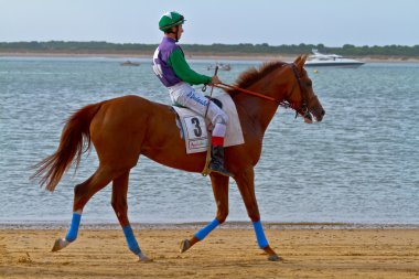 at yarışı sanlucar barrameda, İspanya, Ağustos 2011 tarihinde