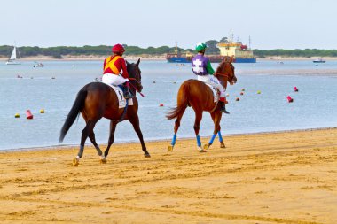 at yarışı sanlucar barrameda, İspanya, Ağustos 2011 tarihinde