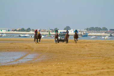 at yarışı sanlucar barrameda, İspanya, Ağustos 2011 tarihinde