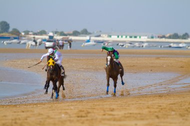 at yarışı sanlucar barrameda, İspanya, Ağustos 2011 tarihinde