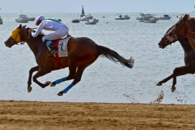 at yarışı sanlucar barrameda, İspanya, Ağustos 2011 tarihinde