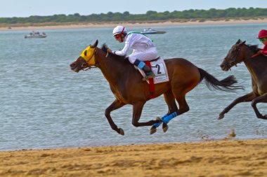 at yarışı sanlucar barrameda, İspanya, Ağustos 2011 tarihinde